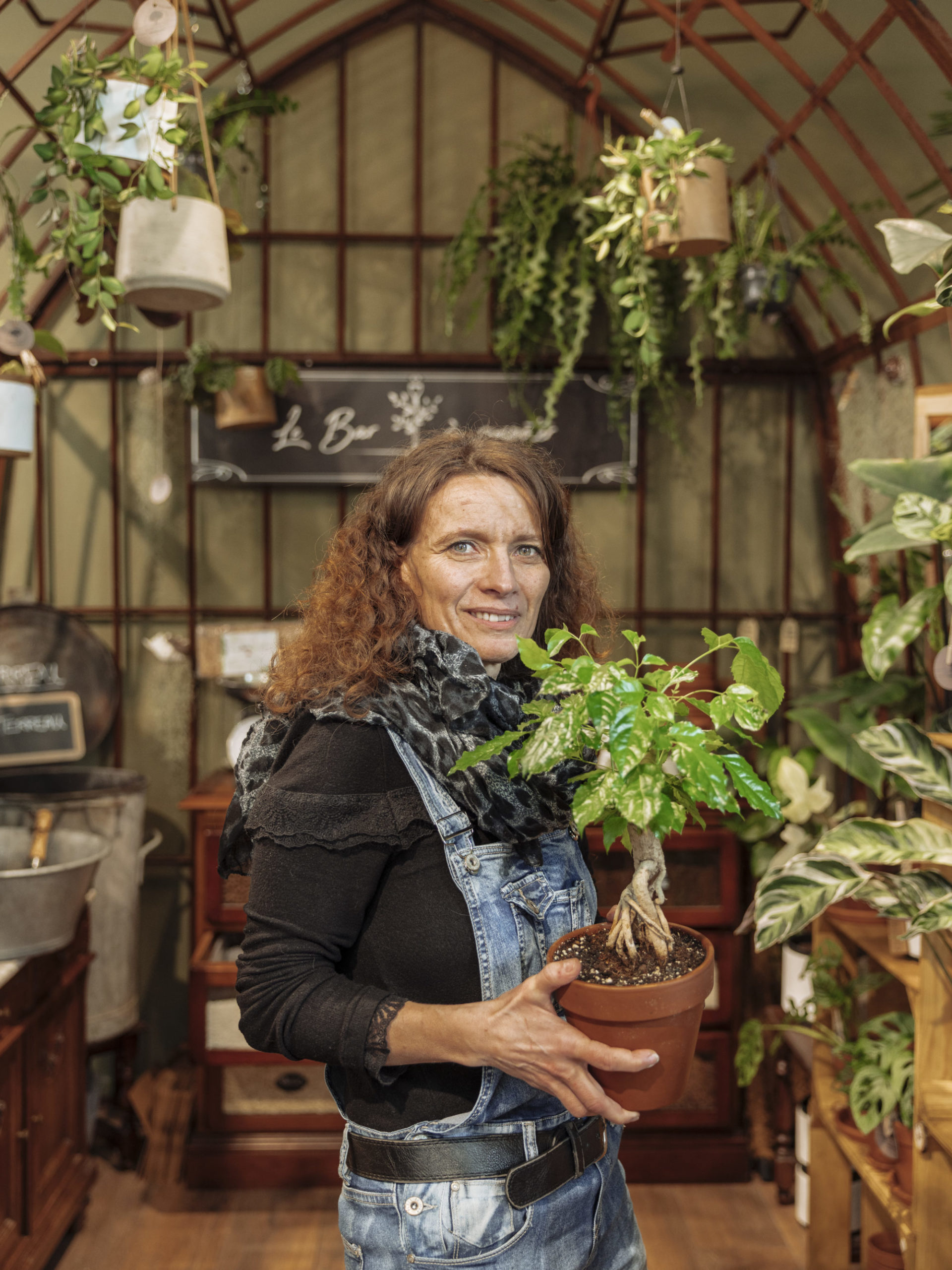 L'Aurore végétale (Arbres & Co Genève) - Photo principale